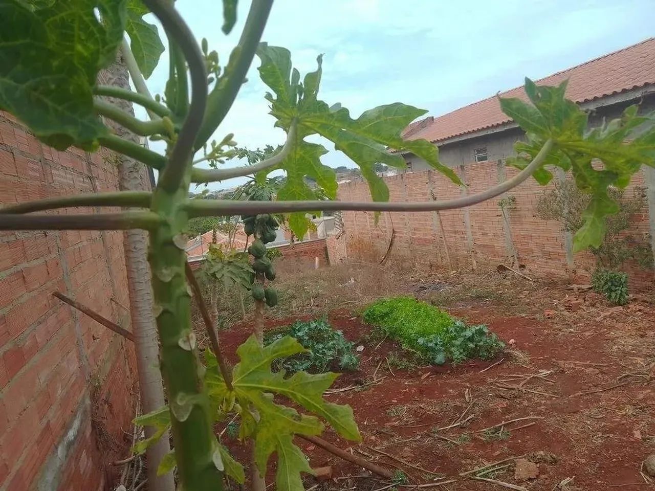 TERRENO À VENDA ALVORADA EM IRACEMAPOLIS, SP - Foto 4