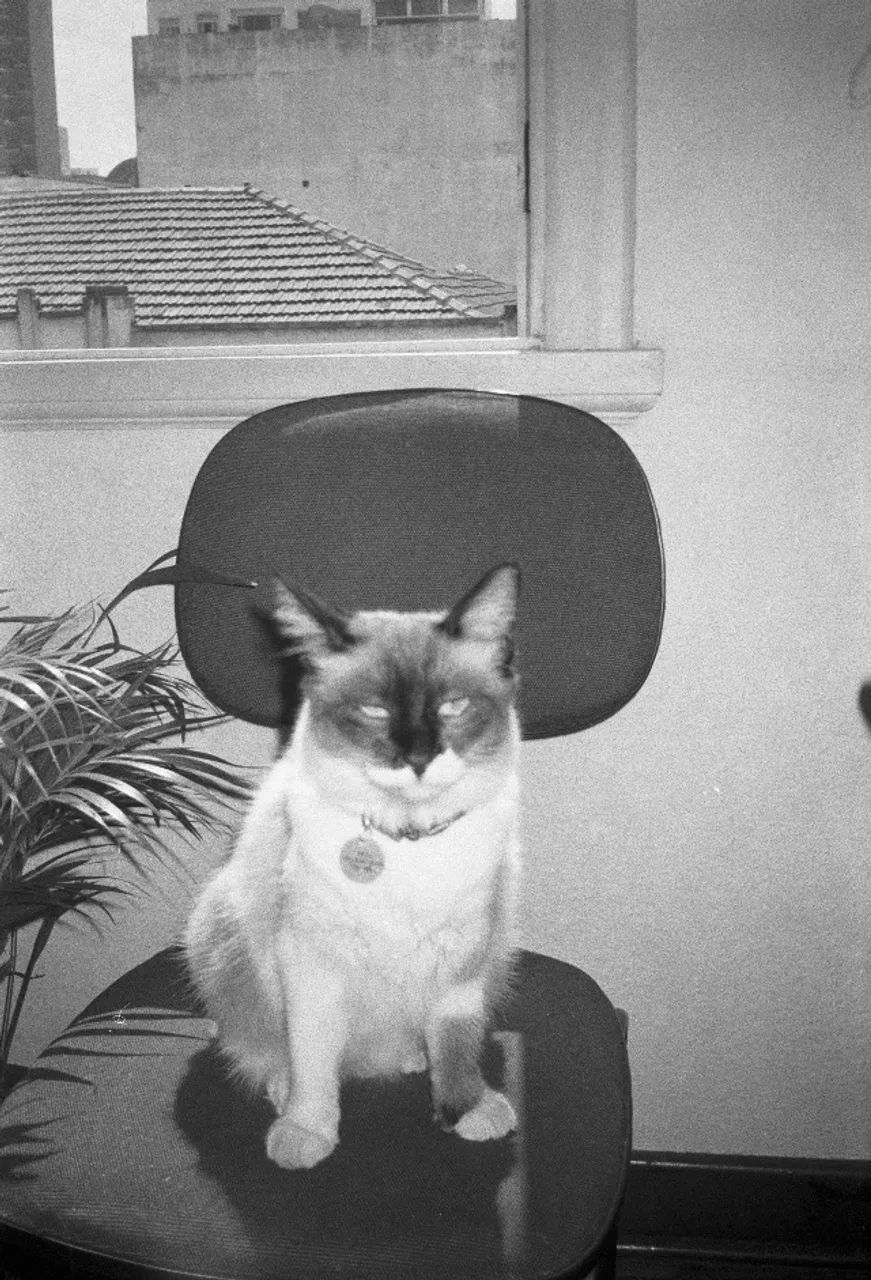 Yashica MG Motor Máquina Fotográfica de filme - Foto 3