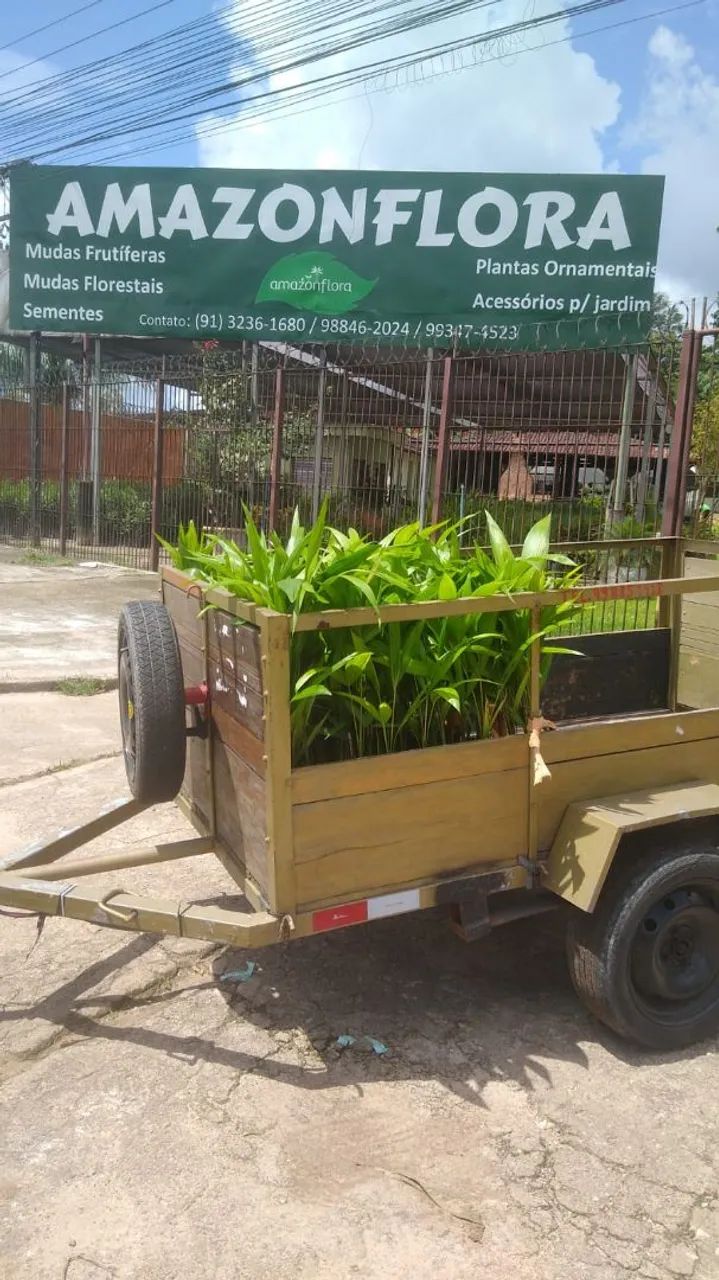 Fretes Pequenos - Foto 2