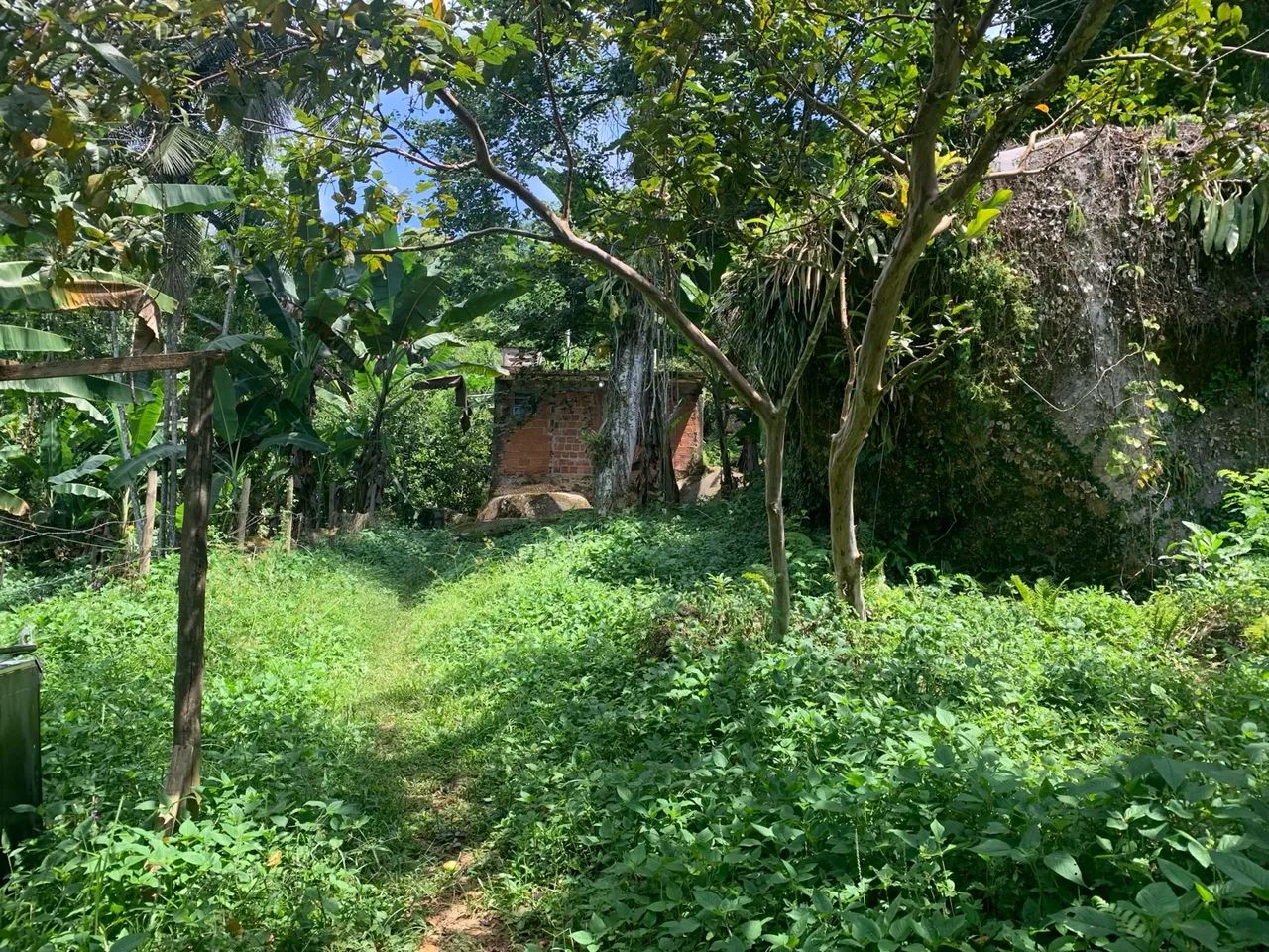 Terreno em Taquari - Paraty - Foto 15