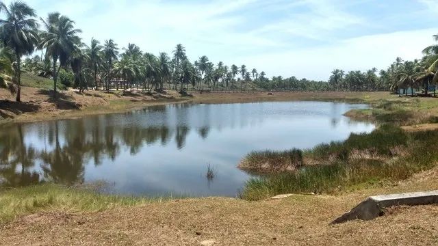 Lote Com 750m² no Cond Thai Residence Para Venda - Foto 3