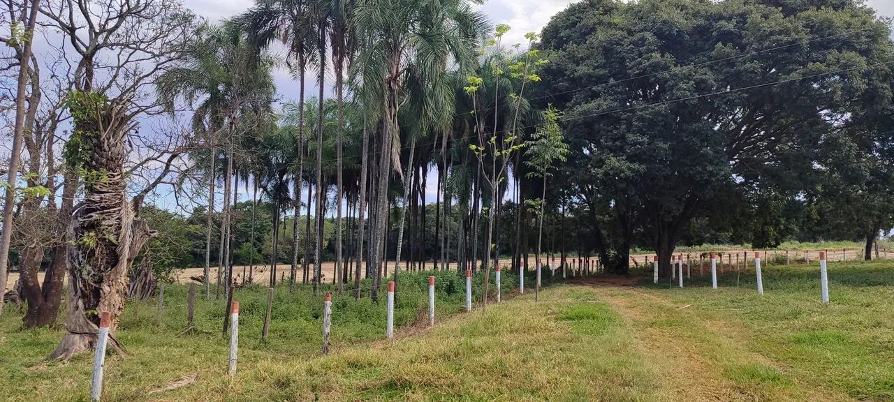 Chácara em Bela vista  - Foto 5