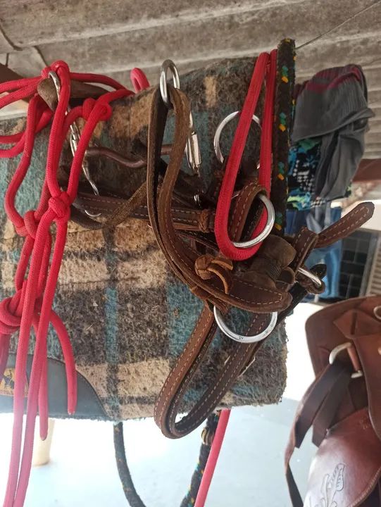 Cela pra cavalo  - Foto 2