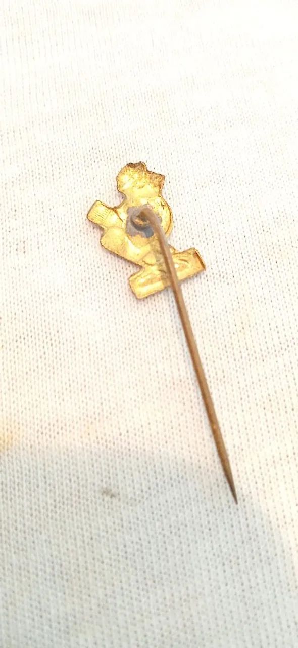 Pin de Coleção broche campanha carvalho Pinto  - Foto 2