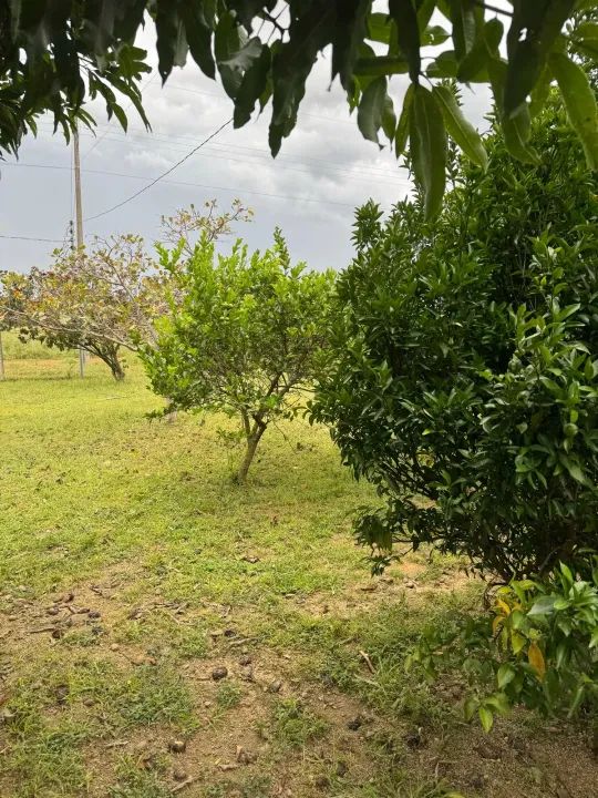 ( Chácara com 7.200m² e Casa de Campo  Pronta para Usar! } - Foto 8