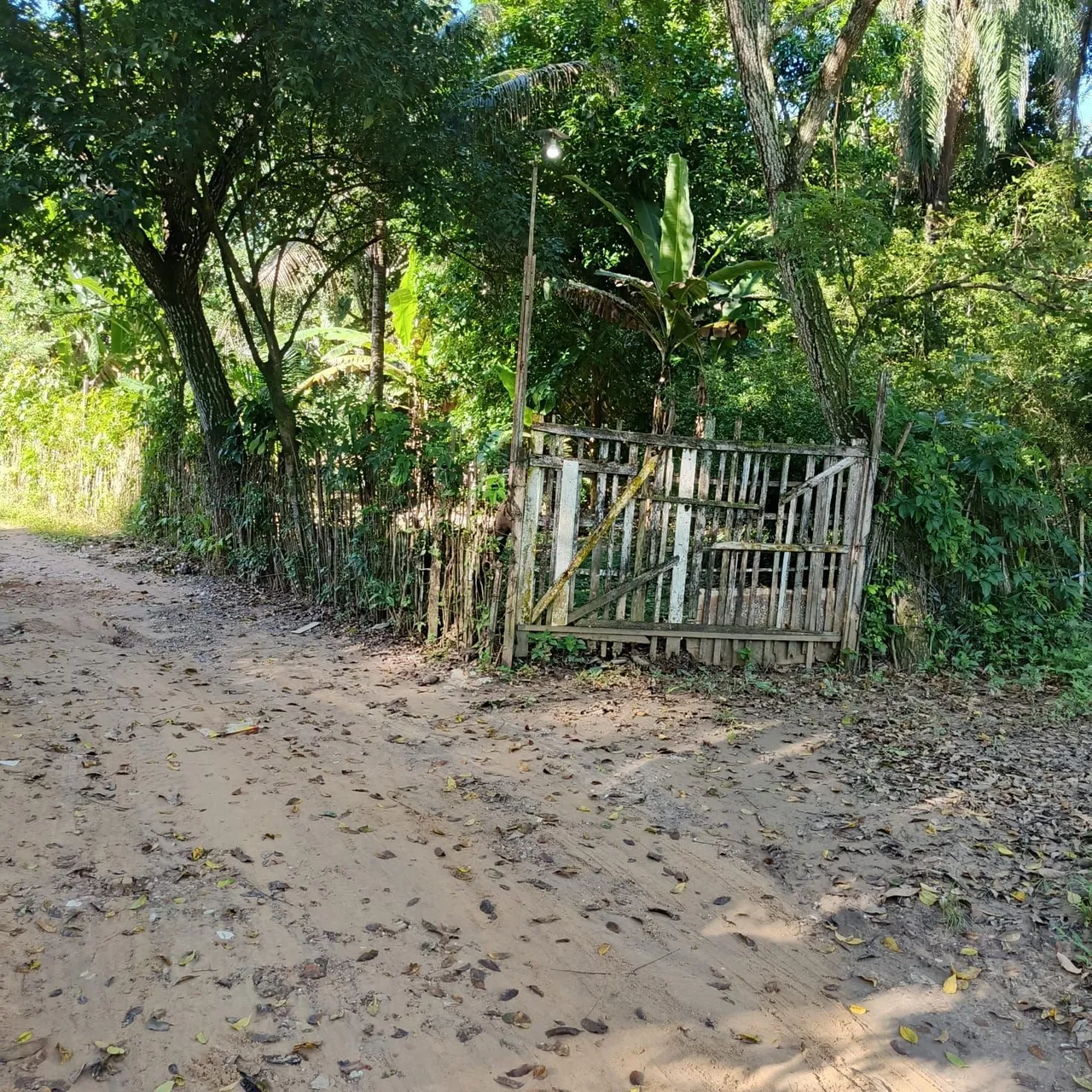 Vende-se este sítio localizado perto do terminal da Mirueira. (LEIA A DESCRIÇÃO)
