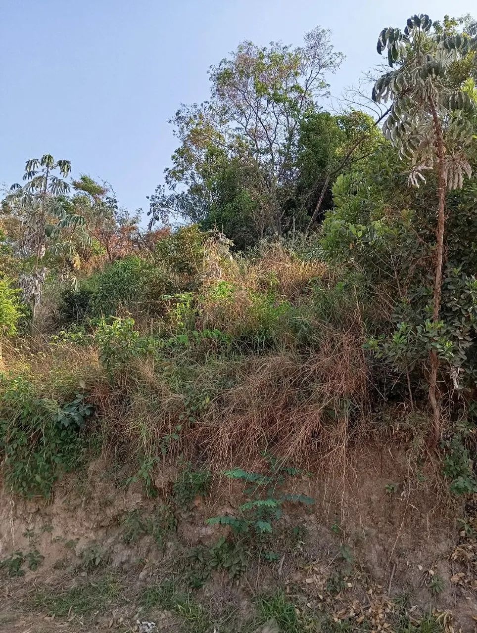 Lote Igarapé 14.000,00