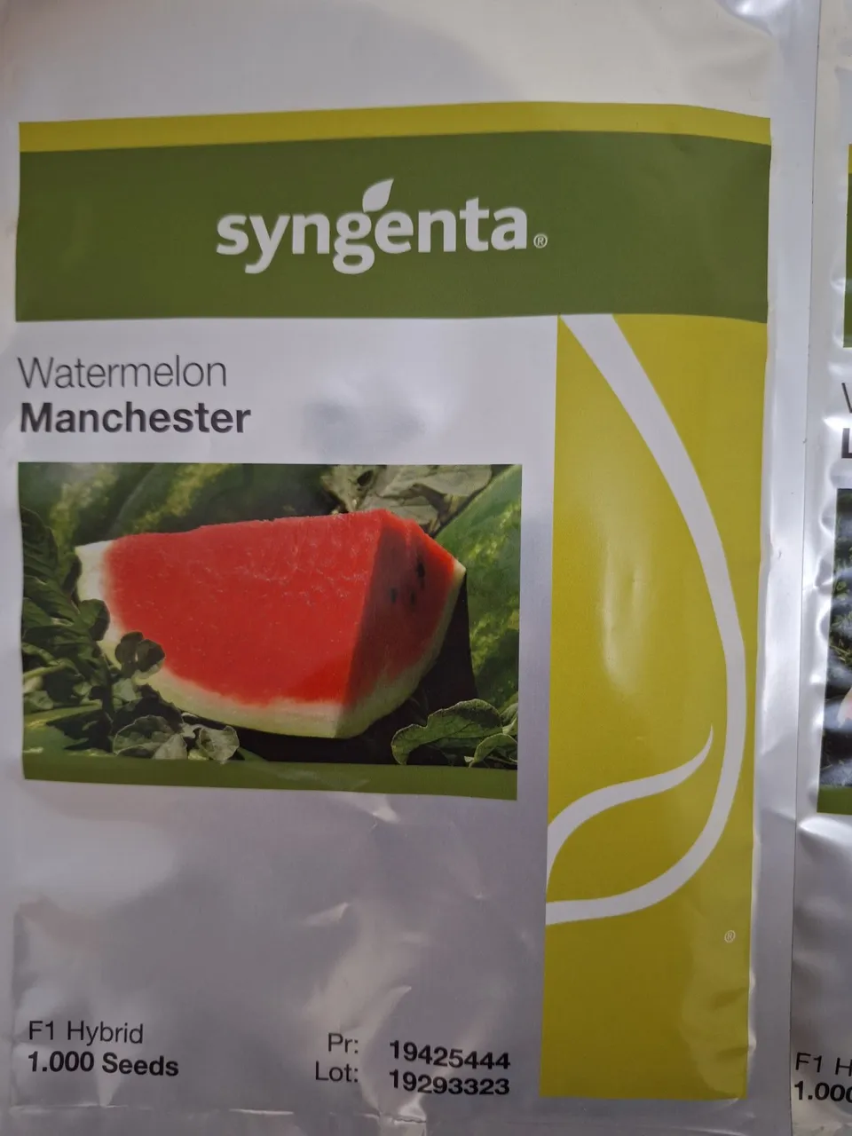 Sementes de melancia Manchester(F1) - Syngenta