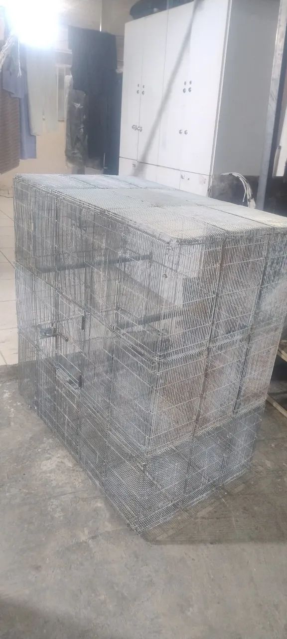 Gaiola viveiro Calopsita e outros medida 1.10x1.05x0.60 - Foto 3