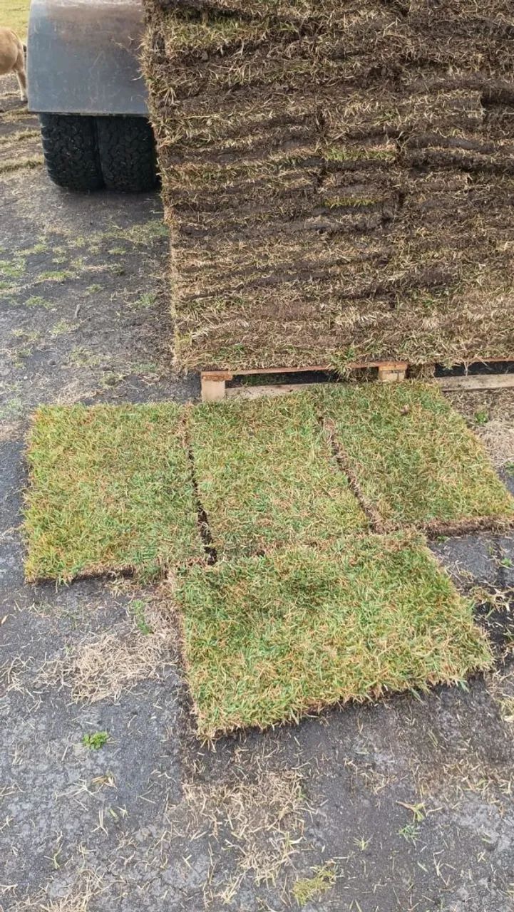 Grama 64304354624387124