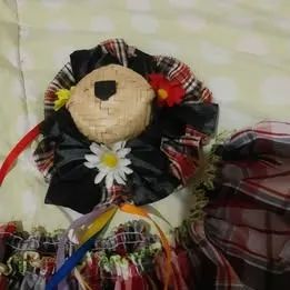 Roupa De Festa Junina - Foto 4