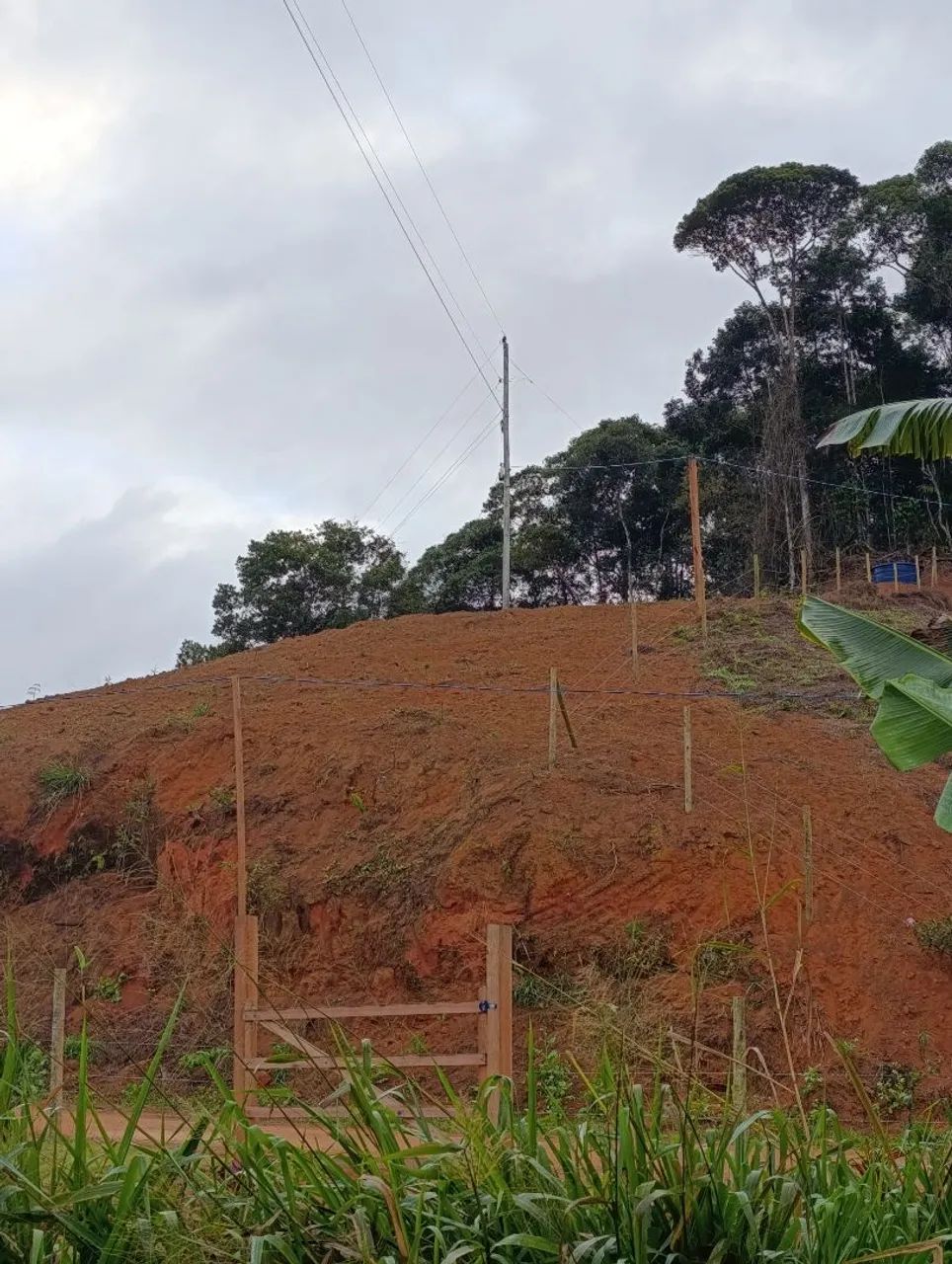 terreno 5.000m²em holandinha