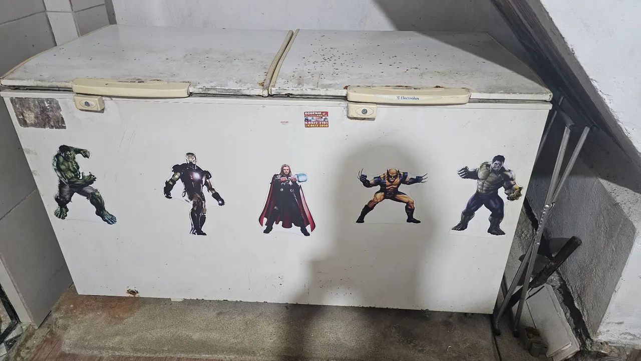 Freezer Electrolux h500 
