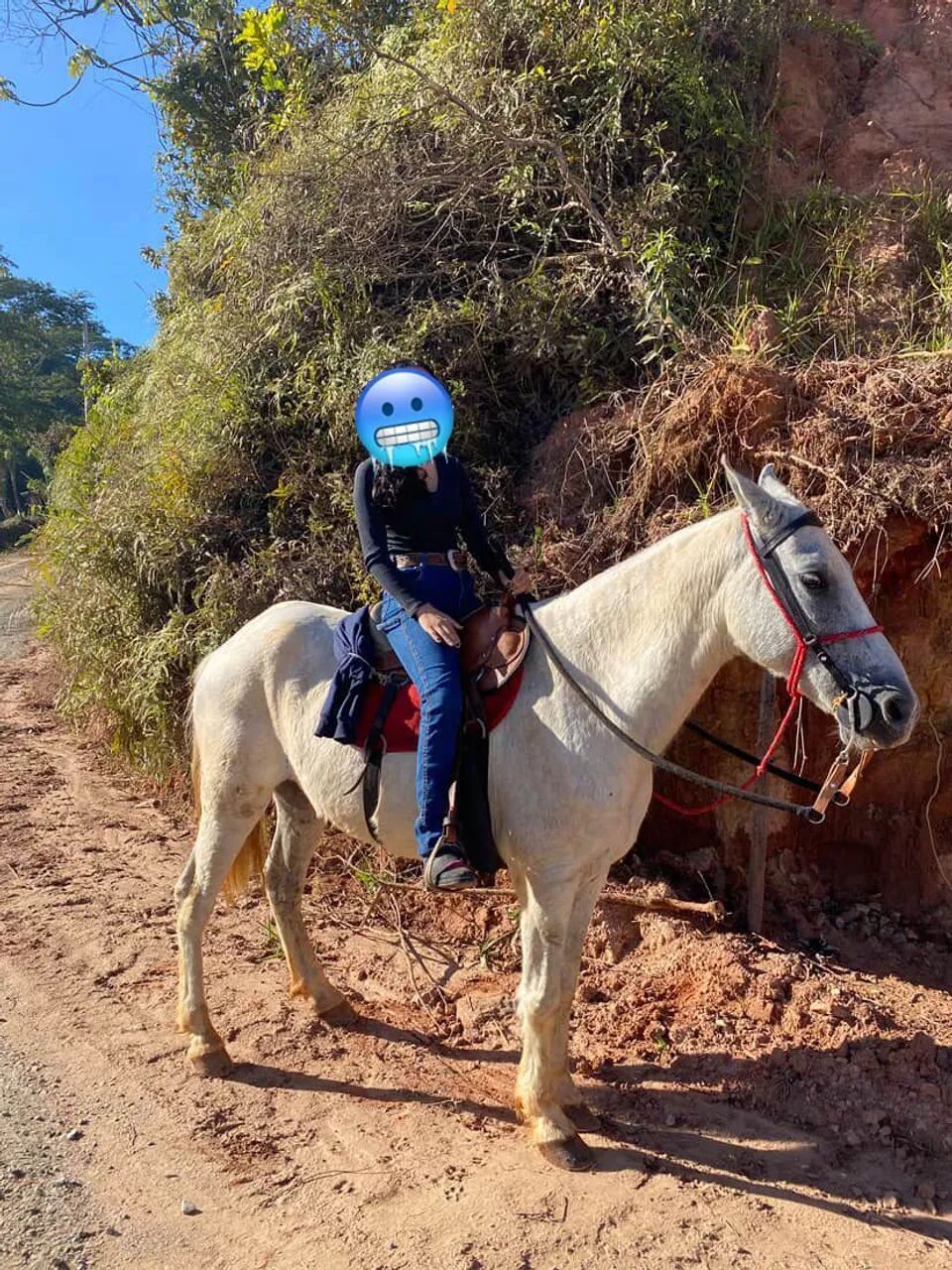 Vendo cavalo  - Foto 2