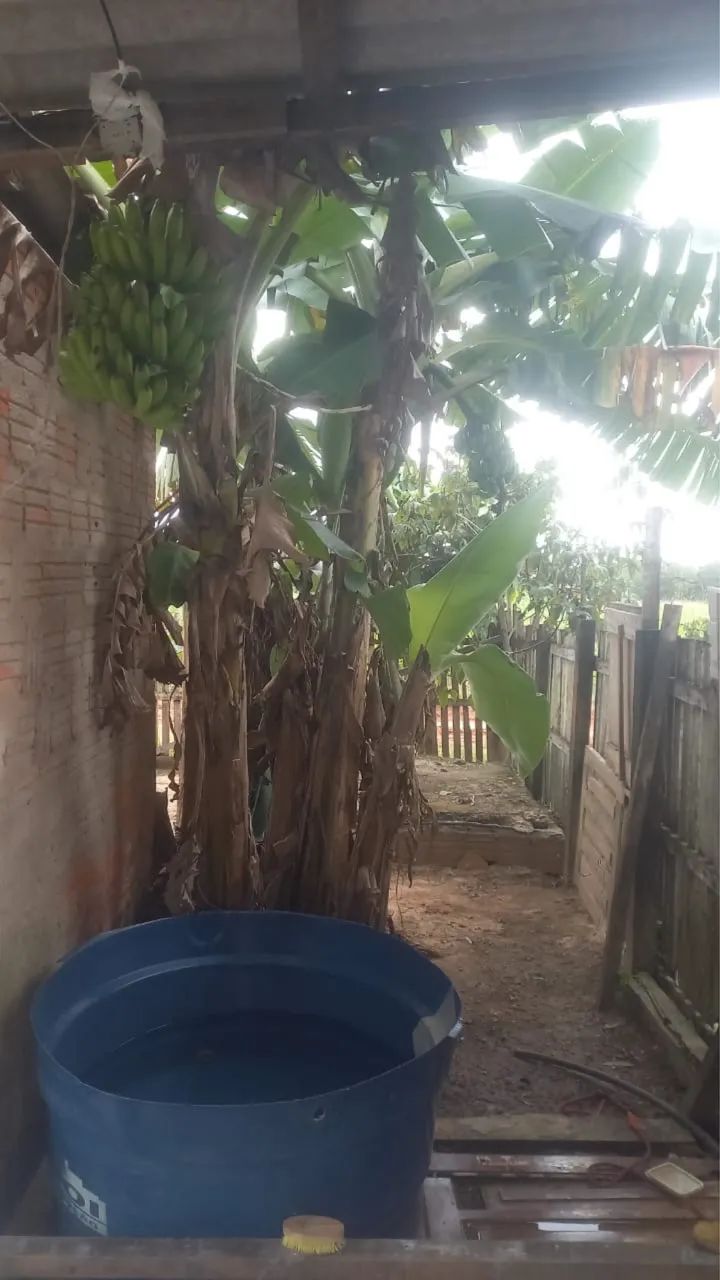 VENDE-SE CASA NO VILA ACRE  - Foto 3