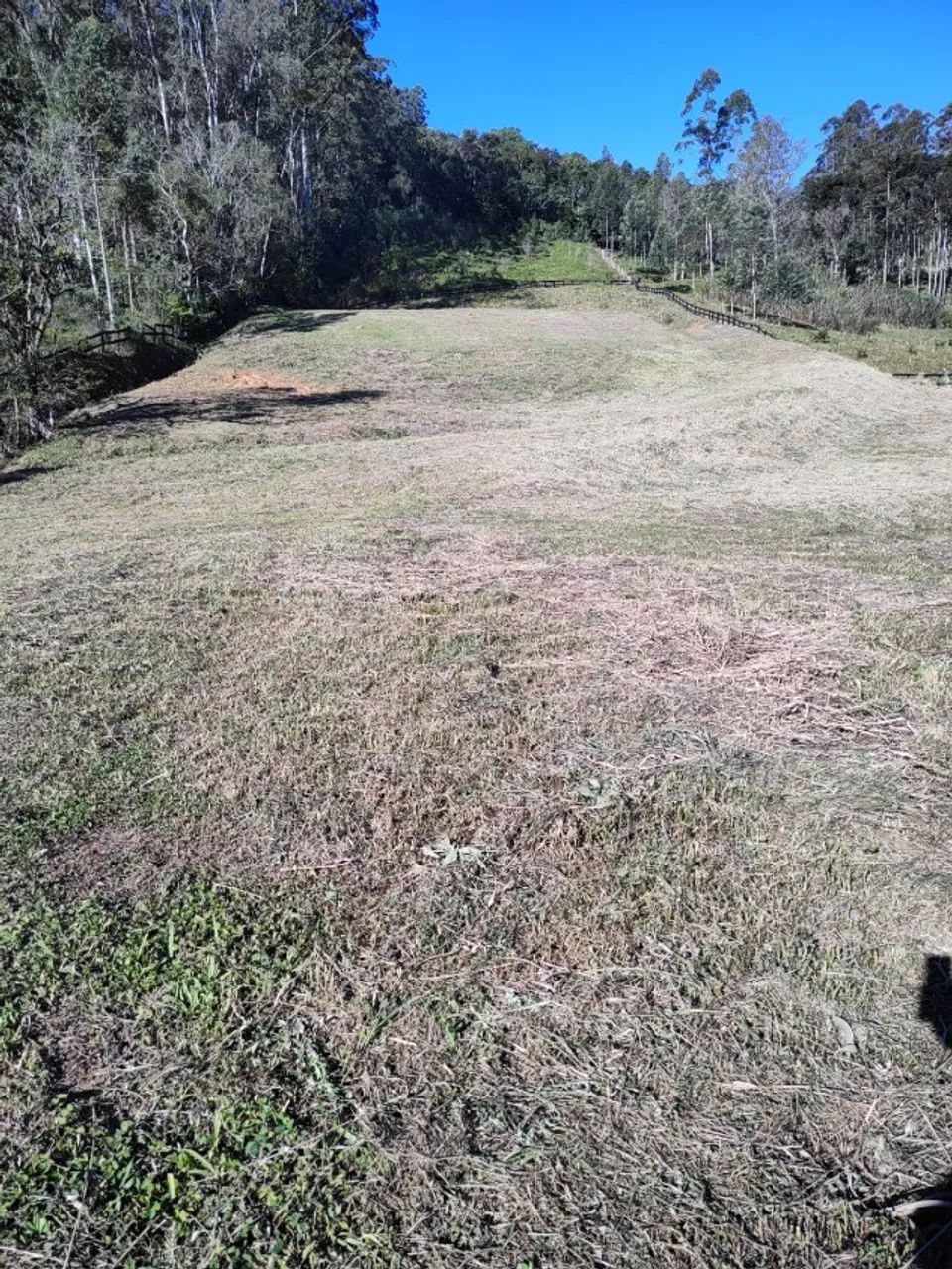 Terreno para sítio, chácara em Aurora - SC. 2,67 Hectares - Foto 3