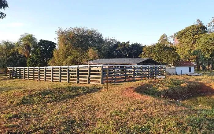 PECUÁRIA - Área Rural 52 Alqueires