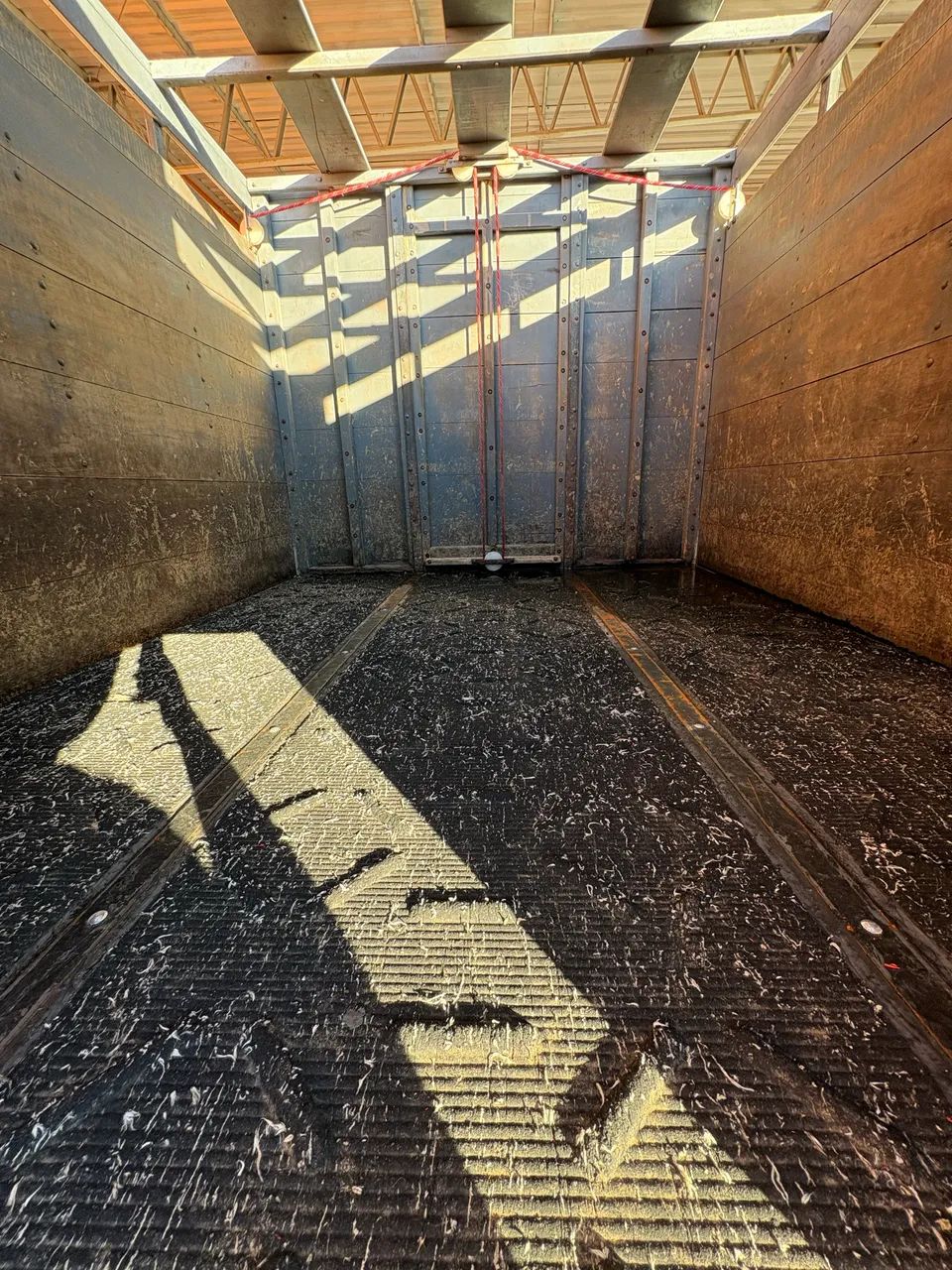 Accelo 2018  - Foto 2