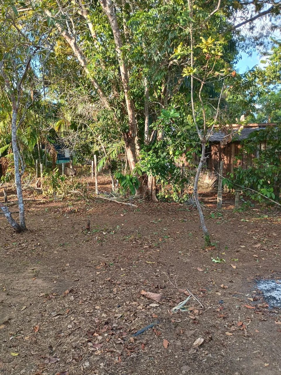 Terreno Comunidade do Livramento  - Foto 5