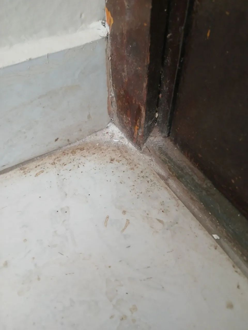Pós obra e rejunte  - Foto 3