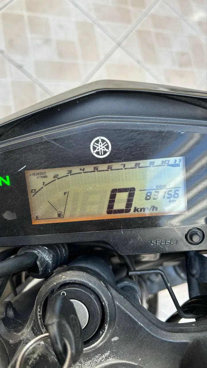 FZ 25 2018
