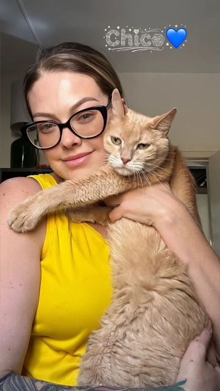 Hospedagem para Gatos - Foto 2