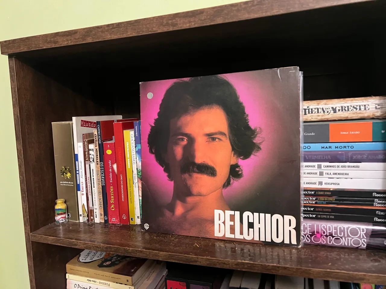 Discos de vinil (LPs)