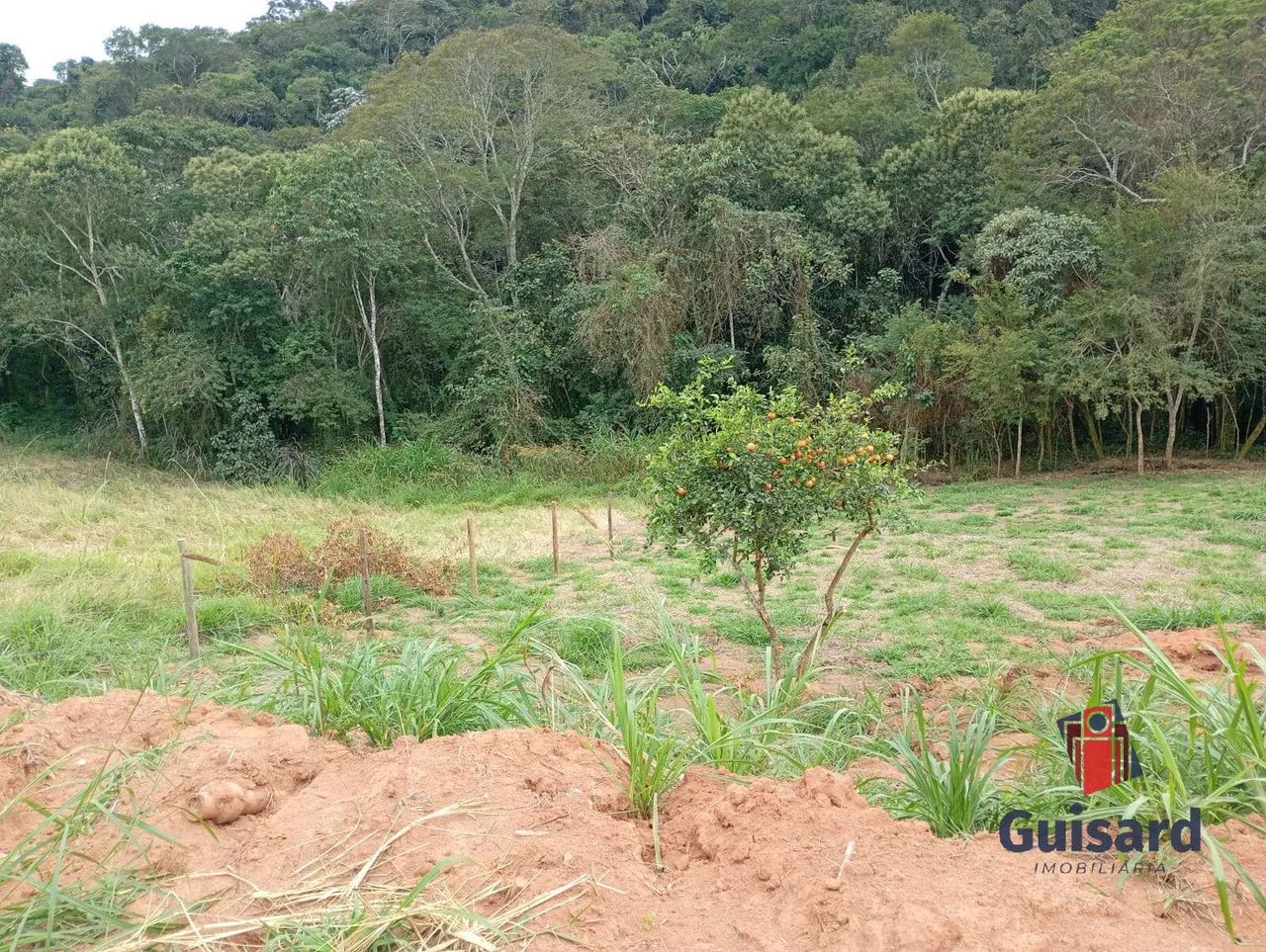 Chacaras de 1.000m² em São Luiz do Paraitinga - Foto 3