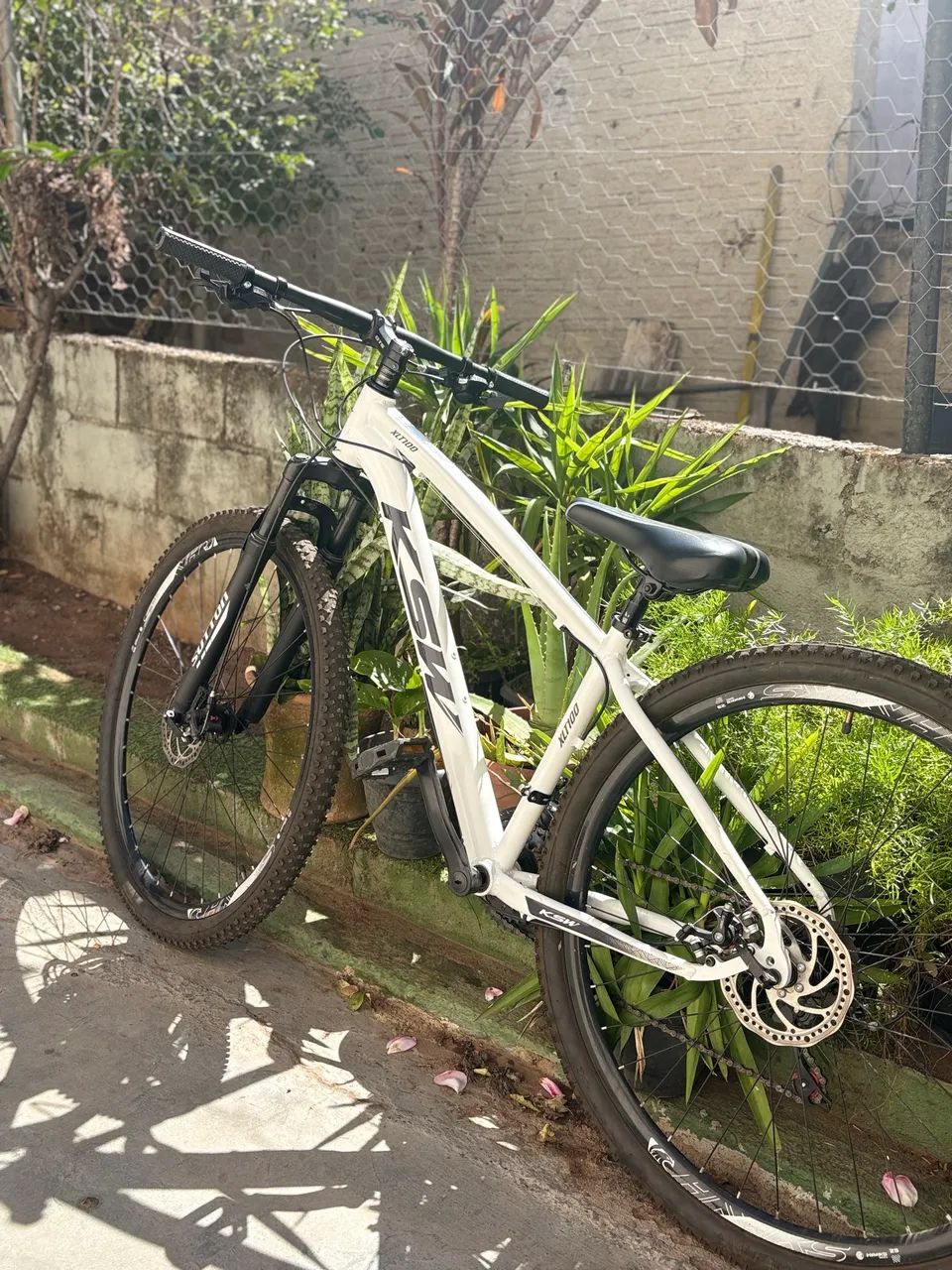 Bicicleta