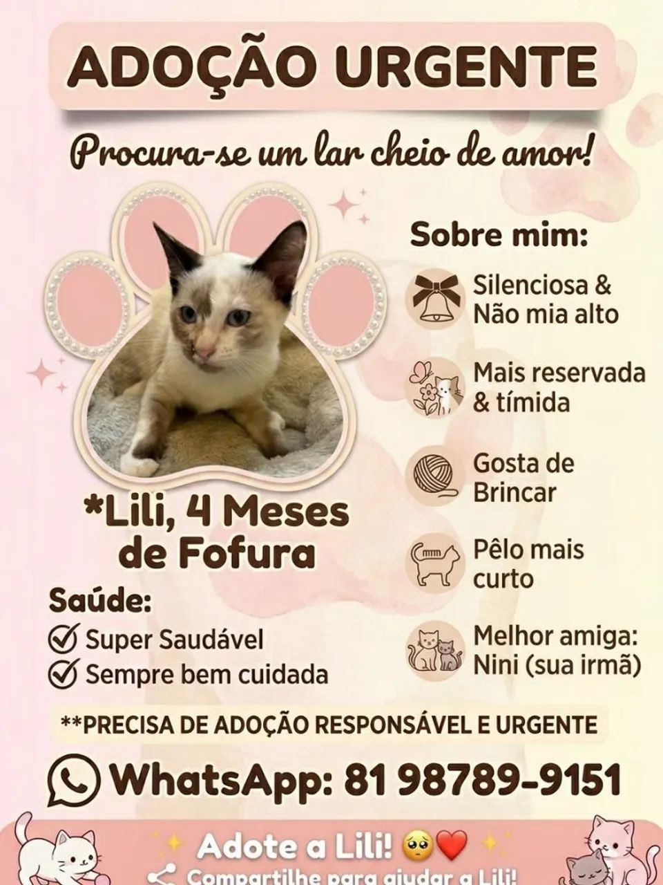 ADOÇÃO RESPONSÁVEL - Foto 3