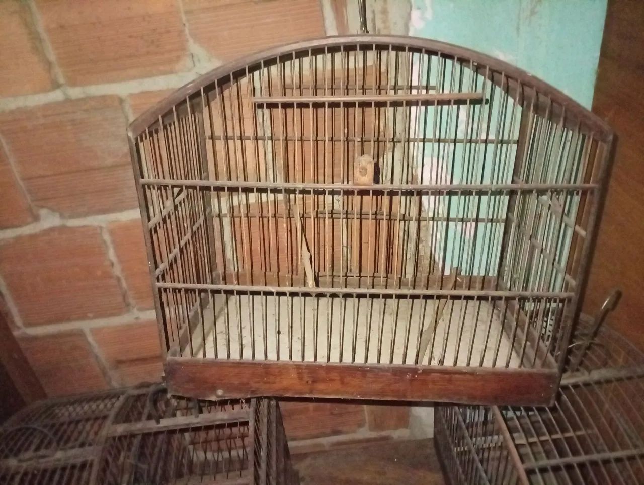 Gaiolas 
