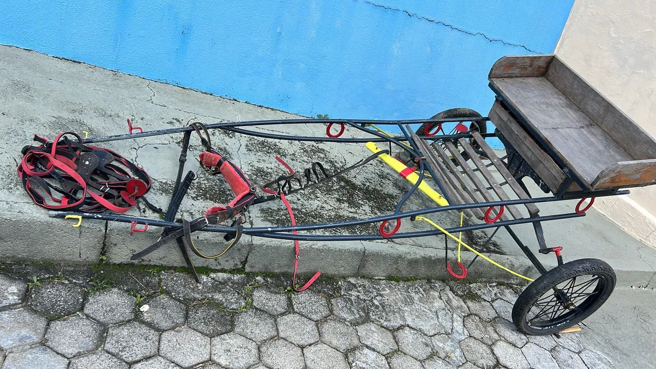 Charrete é curriama - Foto 4