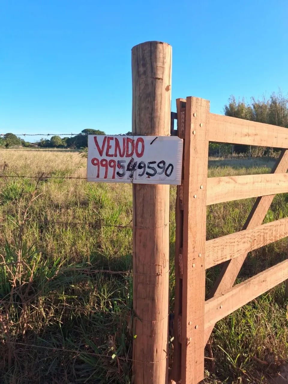 Foto - Campos dos Goytacazes - Goitacazes