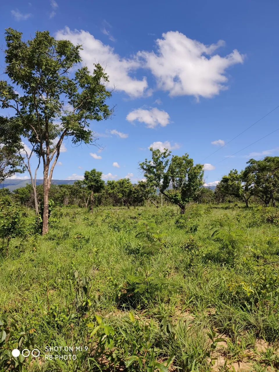 Sítio de 29,8ha só R$150 mil