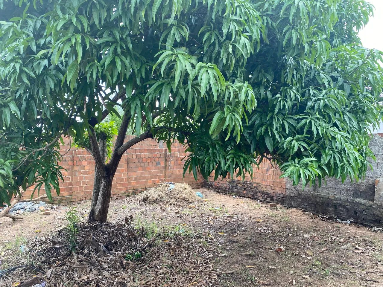 Pilar PB terreno  - Foto 3
