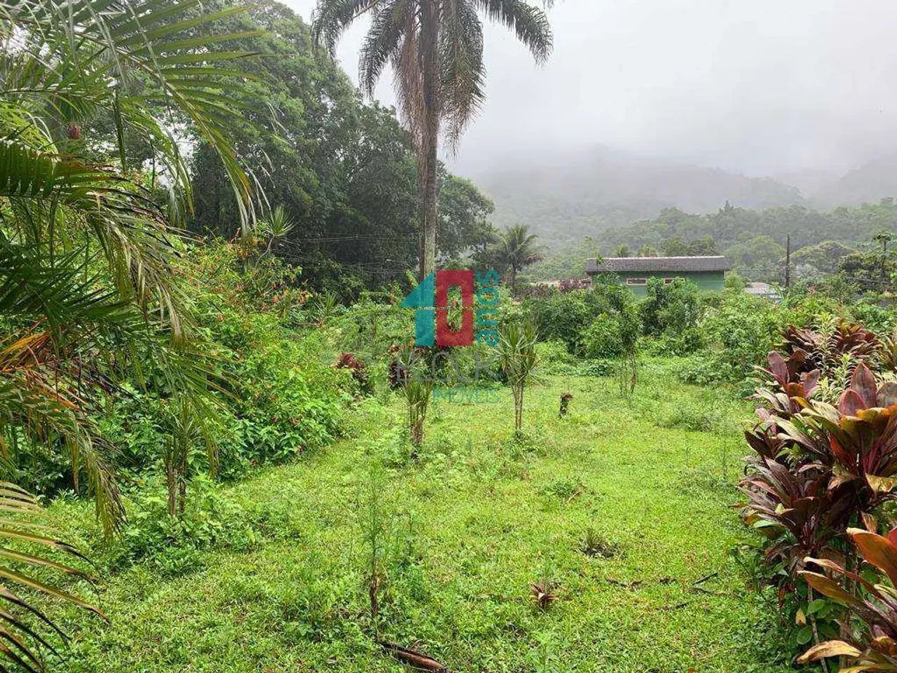Vargem Grande | Terreno - Foto 2