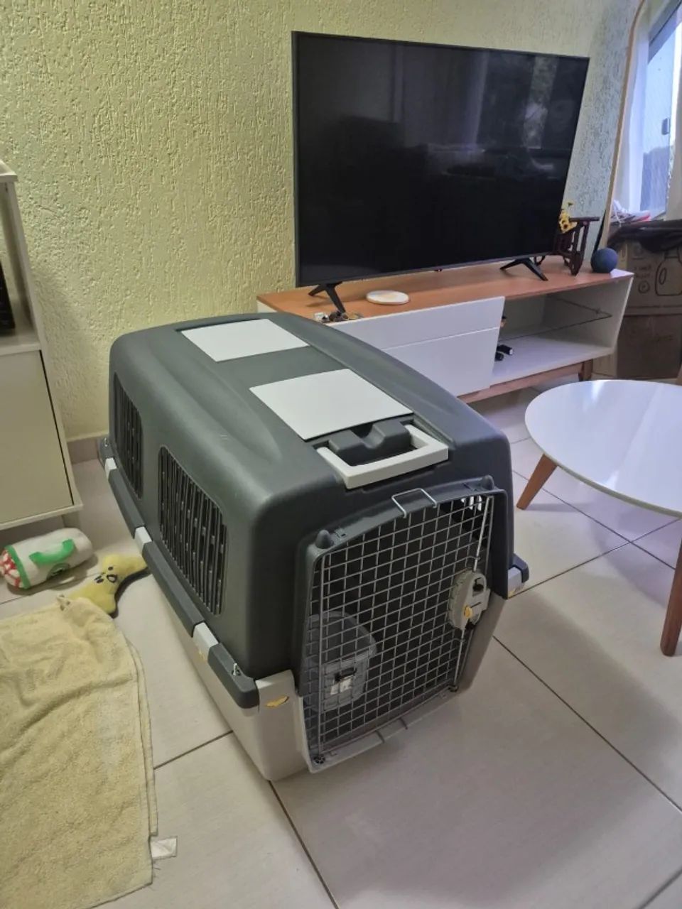 caixa de transporte gulliver n 6 - Foto 2