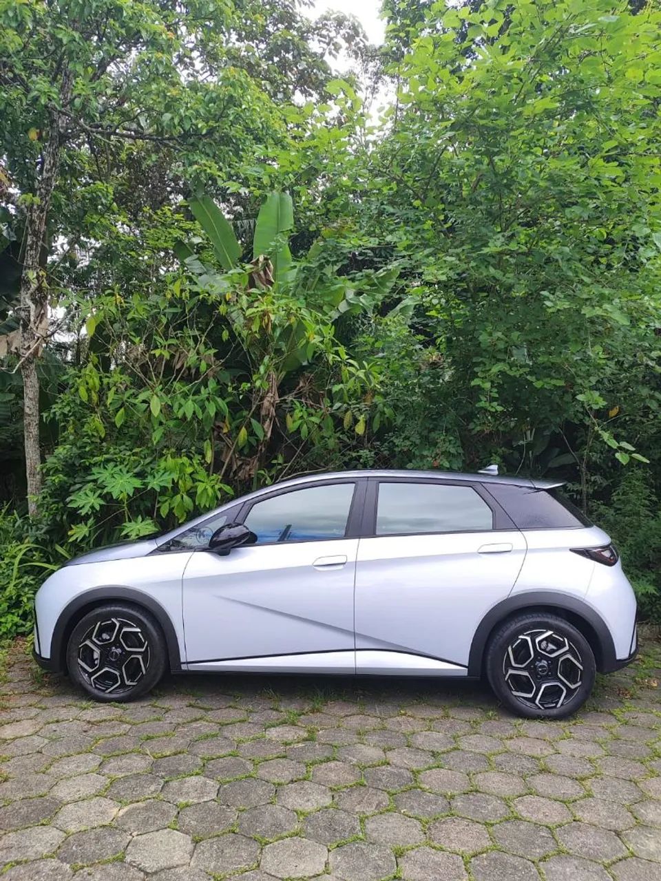BYD Dolphin Plus (Elétrico) 2025 - Foto 4