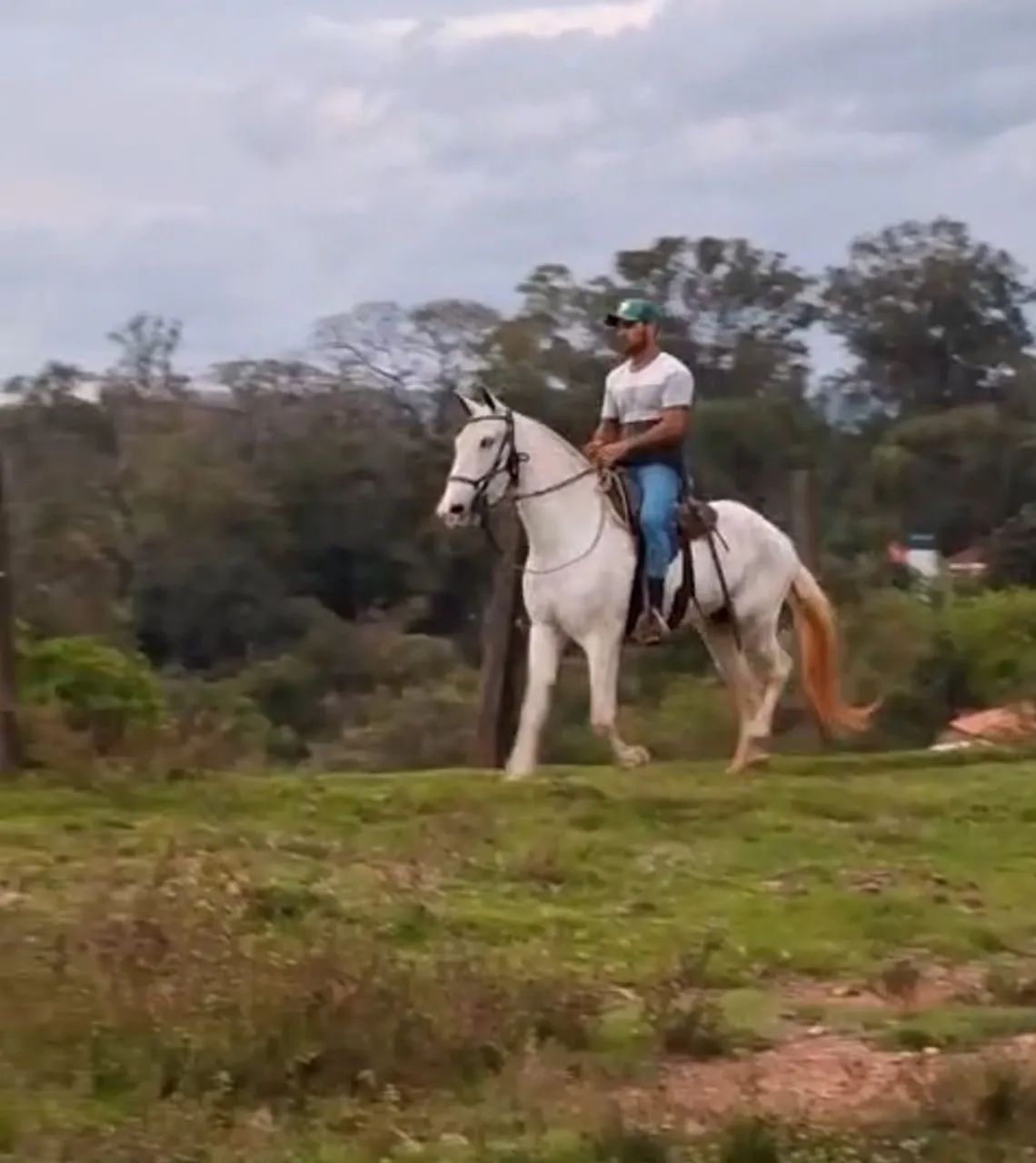 Égua mangalarga luxo... - Foto 2