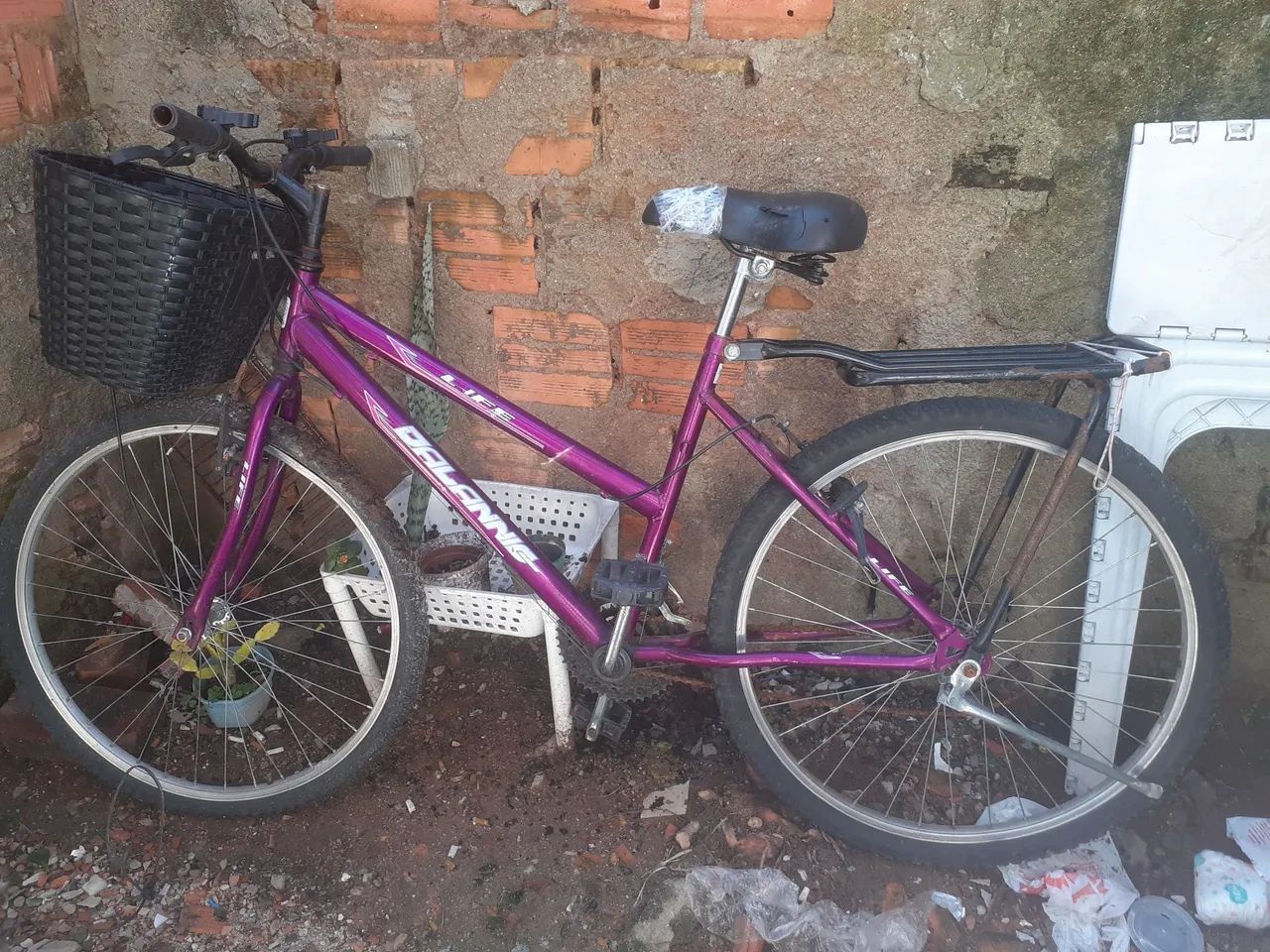Bicicleta