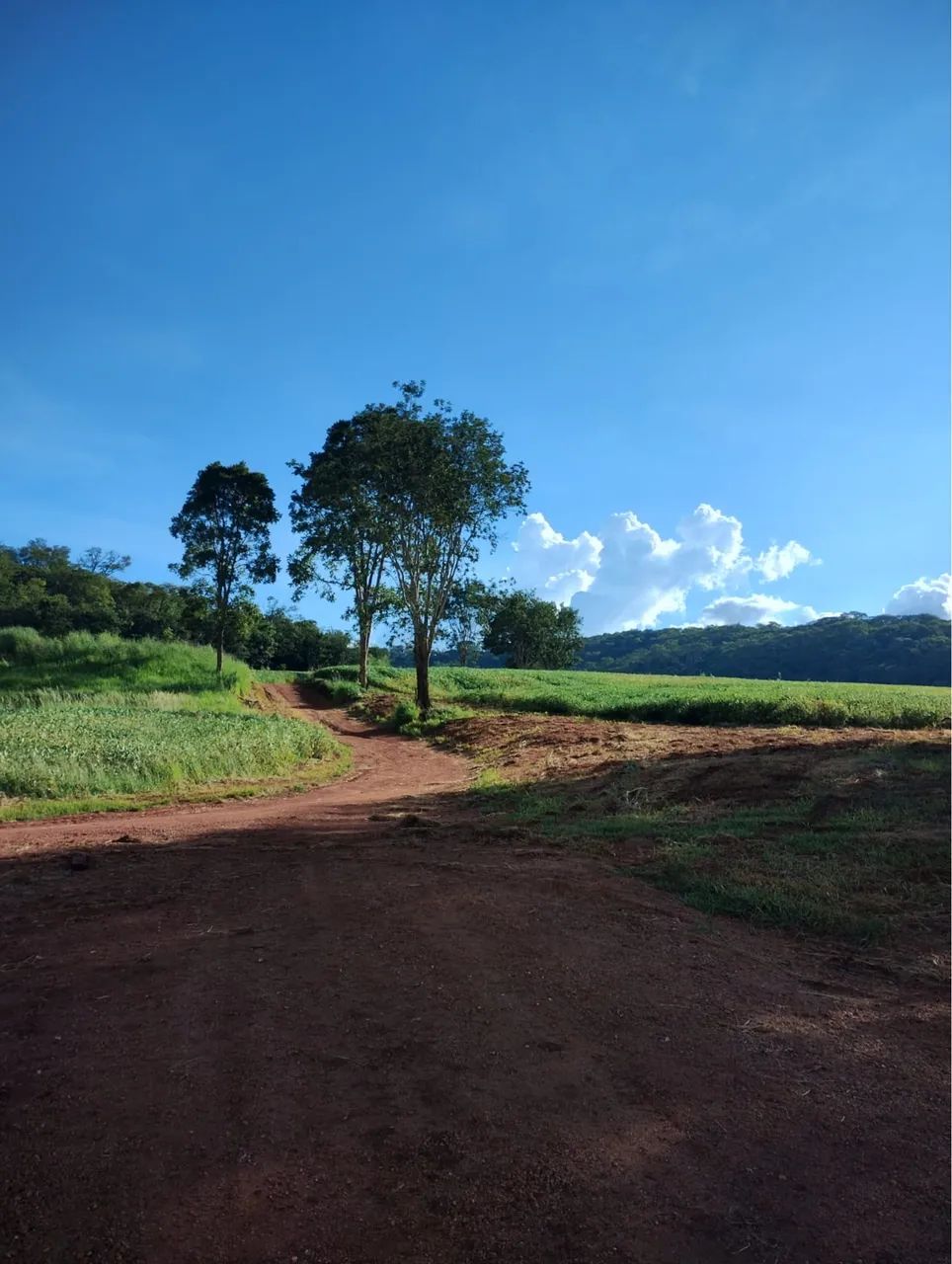 Fazenda dupla aptidão em Uberlândia  - Foto 4