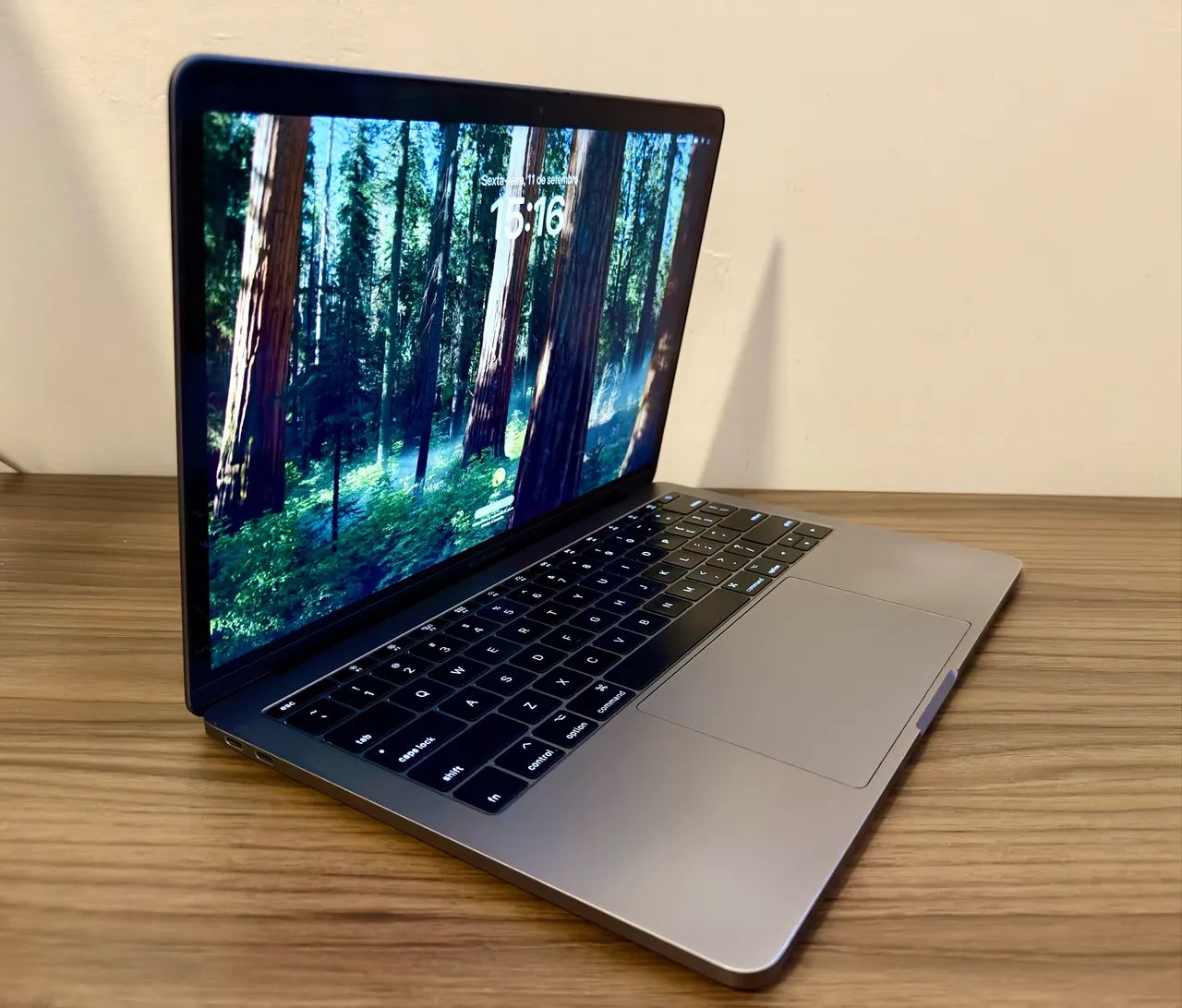 MACBOOK PRO 2017 - IMPECÁVEL - GARANTIA