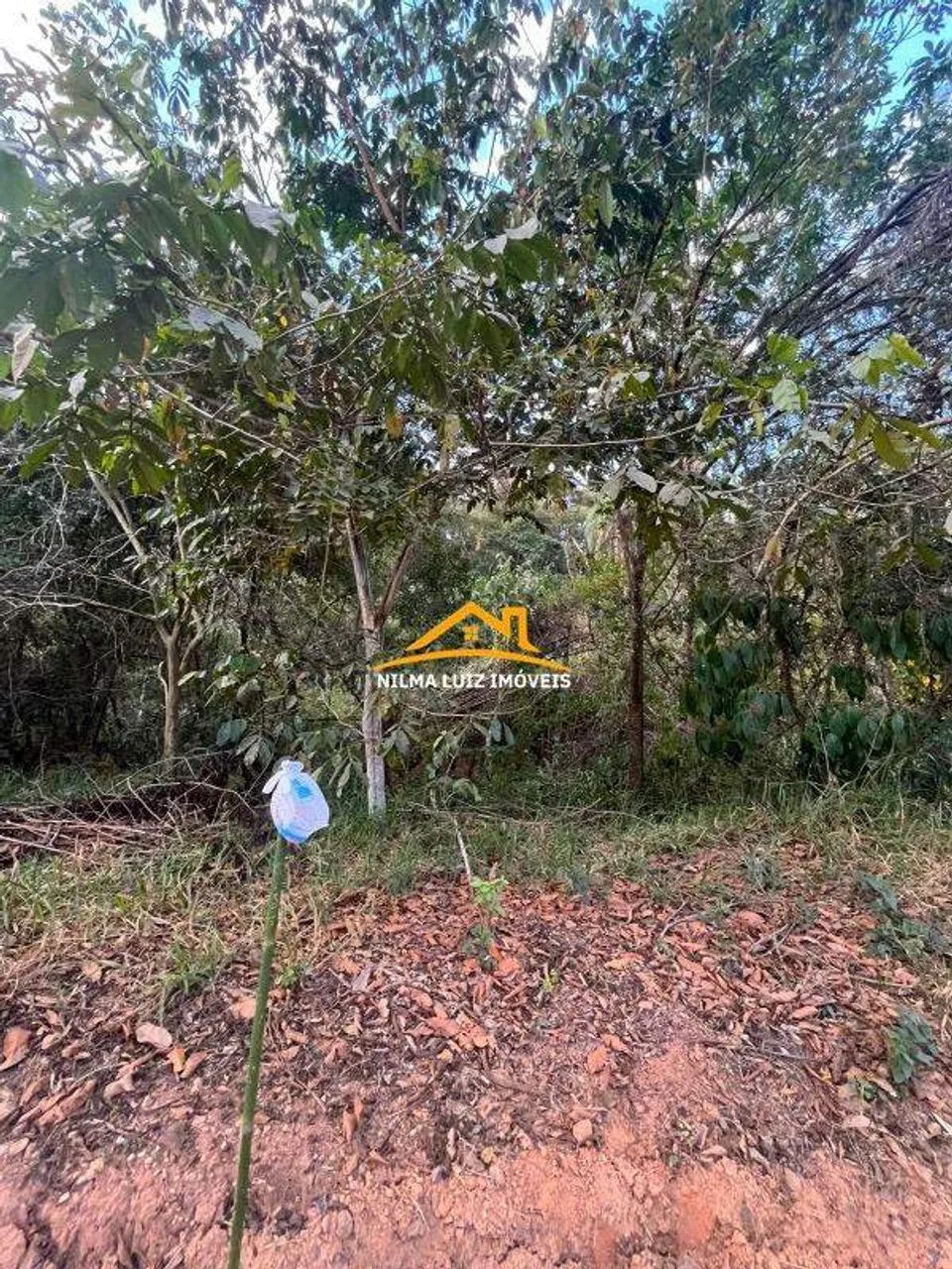 CHÁCARAS À VENDA | VIANÓPOLIS/PIMENTAS BETIM/MG - Foto 2