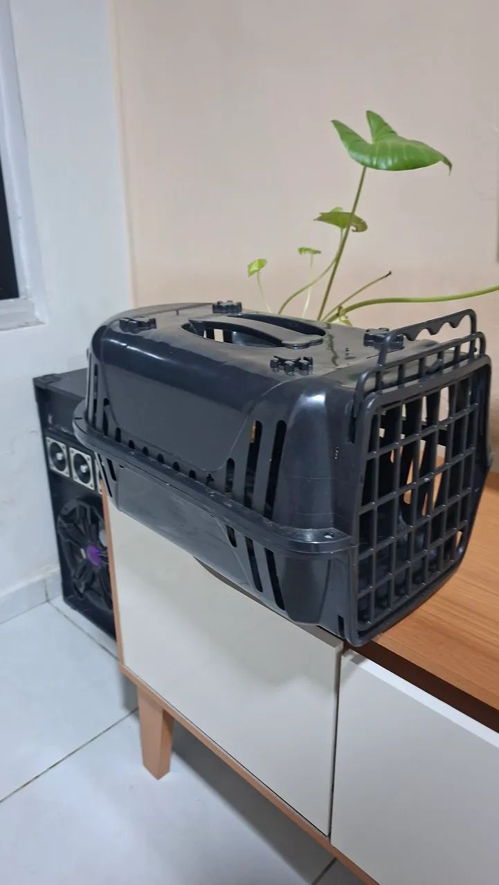 Caixa para transporte de animais 