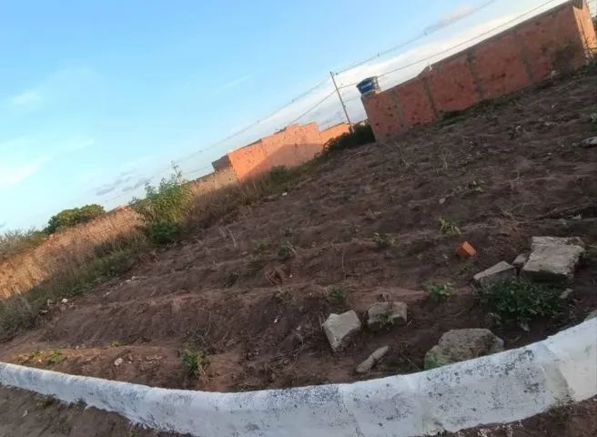 Terreno no povoado Genipapo/ limoeiro de Anadia  - Foto 2