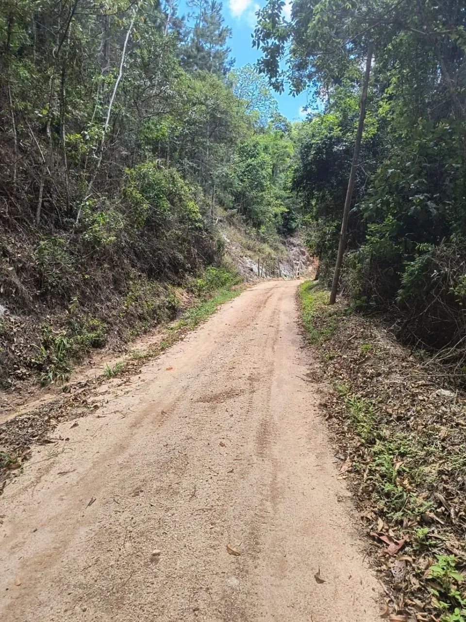 Terreno em Arace, Pedra Azul. - Foto 2