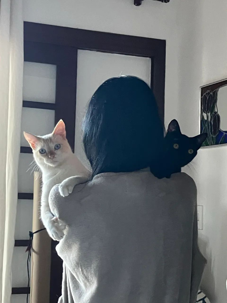 Ofereço serviços  - Foto 4