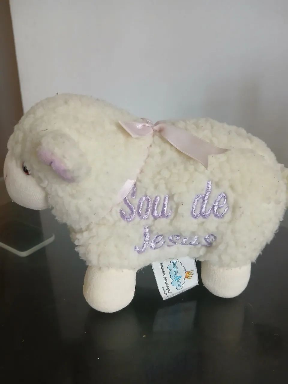 Ovelhinha de Jesus