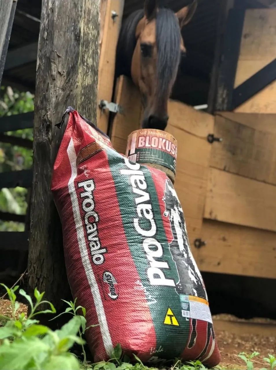 Ração para Cavalo SUPRA - Foto 3
