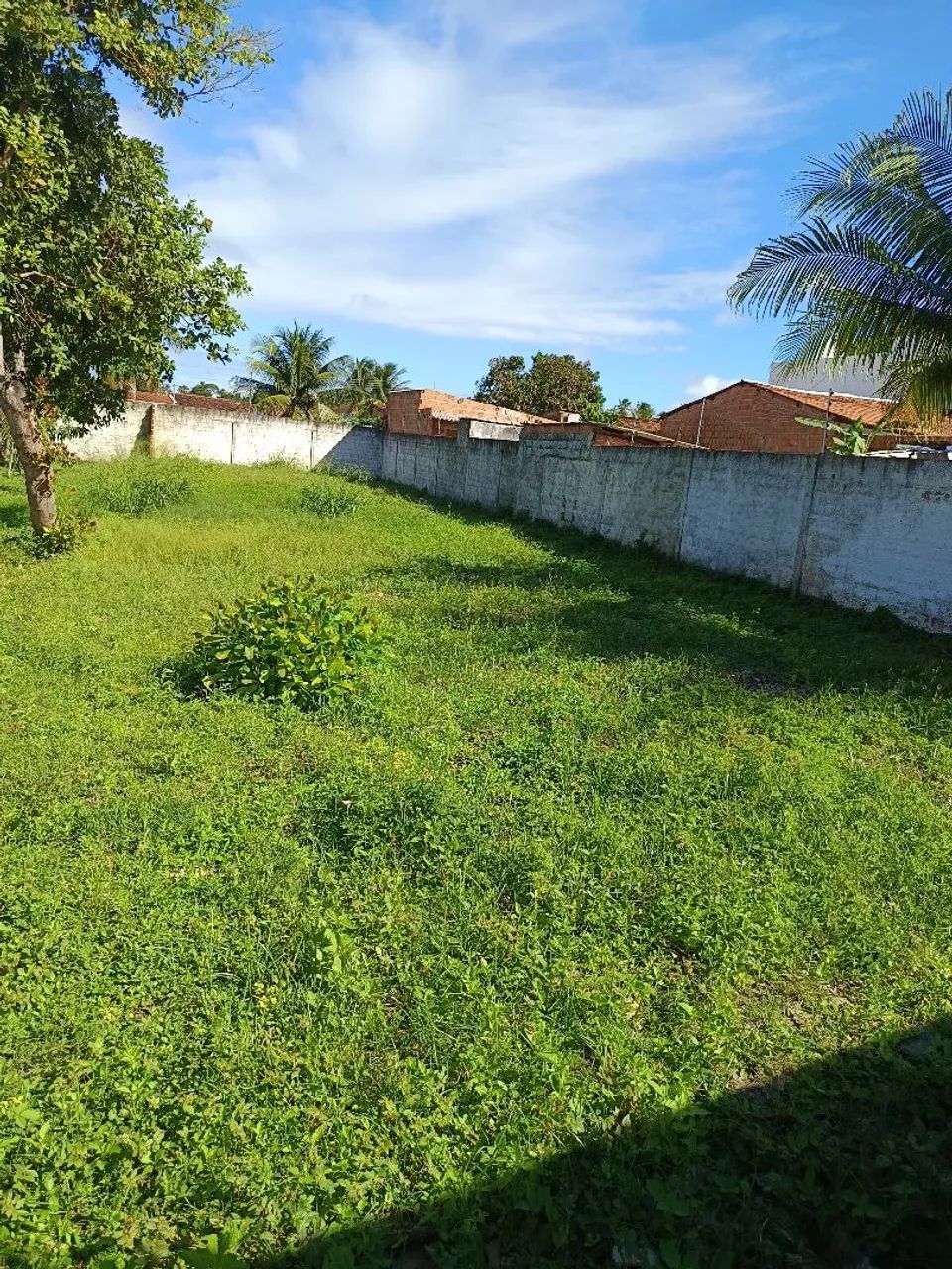180 por 170  mil .largura 10 .comprimento 41 - Foto 4